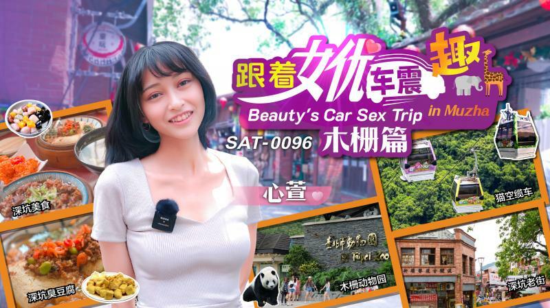 SAT0096 여배우의 차를 미행했다가 목격한 충격적인 현장